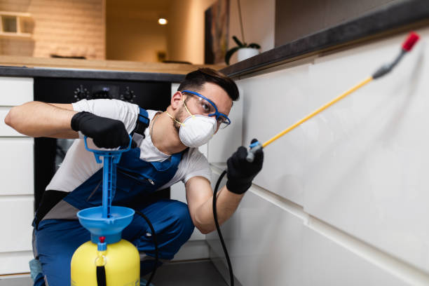 Best Flea Control Services  in Notre Dame, IN