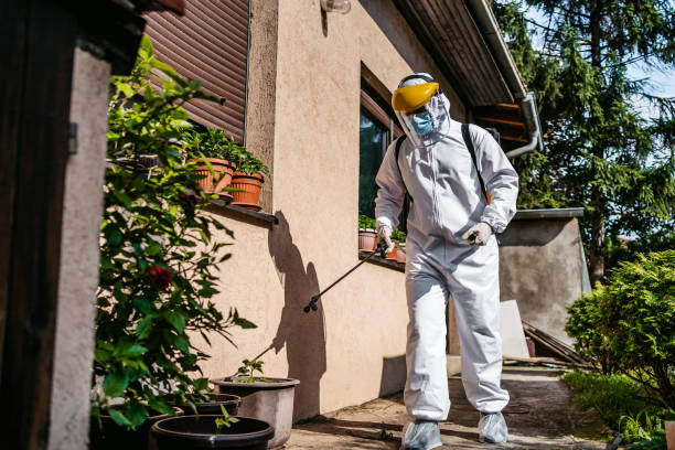 Best Affordable Pest Control Services  in Notre Dame, IN