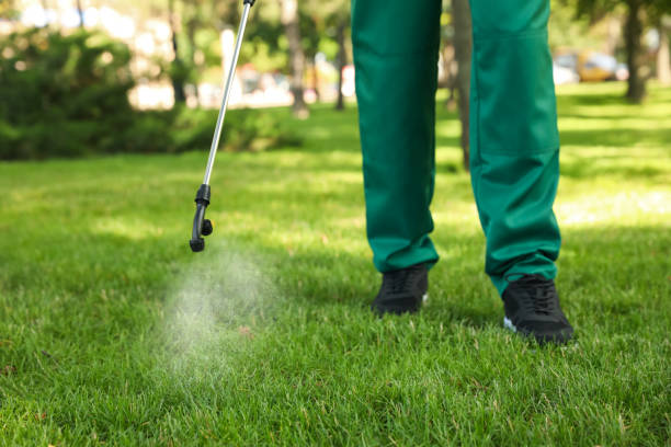 Flea Control Services in Notre Dame, IN