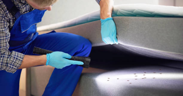 Best Termite Control Services  in Notre Dame, IN