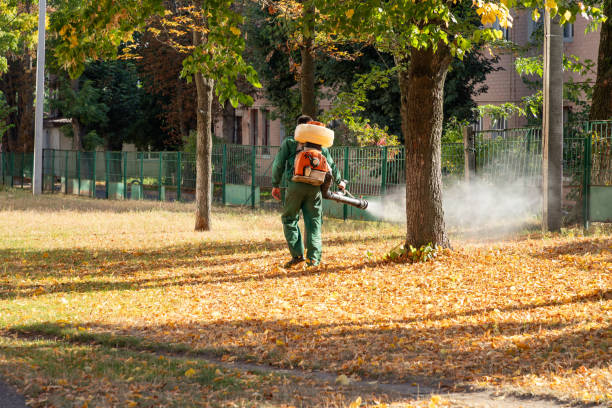 Best Bed Bug Extermination  in Notre Dame, IN