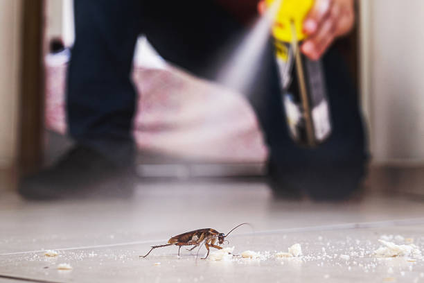 Best Local Pest Control Services  in Notre Dame, IN