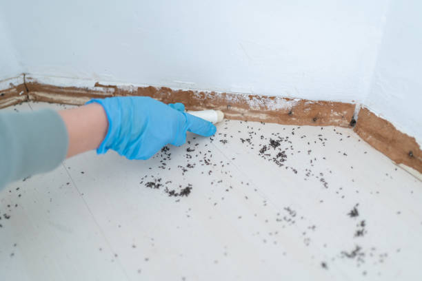Trusted Notre Dame, IN Pest Control Experts