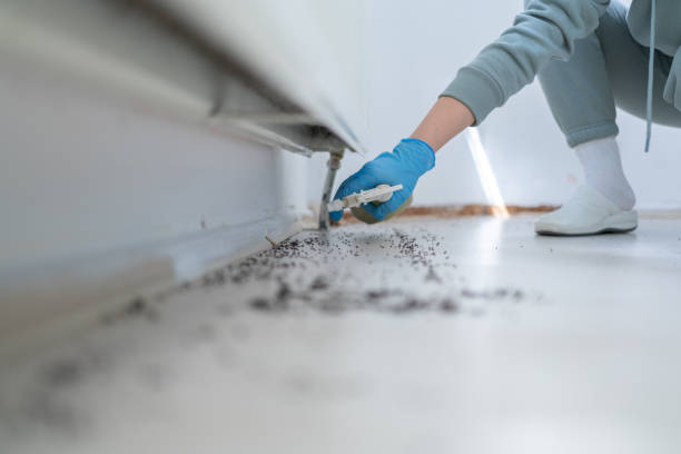 Best Pest Control for Businesses  in Notre Dame, IN
