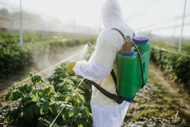 Best Best Pest Control Companies  in Notre Dame, IN